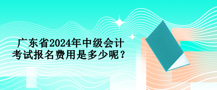 廣東省2024年中級(jí)會(huì)計(jì)考試報(bào)名費(fèi)用是多少呢？