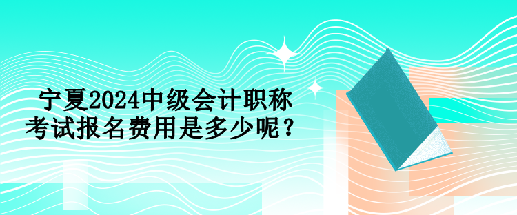 寧夏2024中級(jí)會(huì)計(jì)職稱考試報(bào)名費(fèi)用是多少呢？