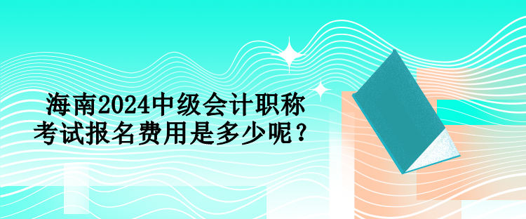 海南2024中級會計職稱考試報名費用是多少呢？