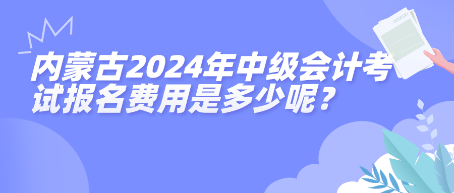 內(nèi)蒙古2024年中級(jí)會(huì)計(jì)考試報(bào)名費(fèi)用