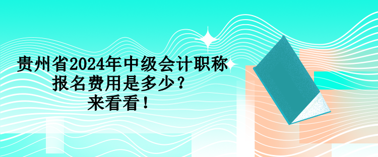 貴州省2024年中級會計(jì)職稱報(bào)名費(fèi)用是多少？來看看！