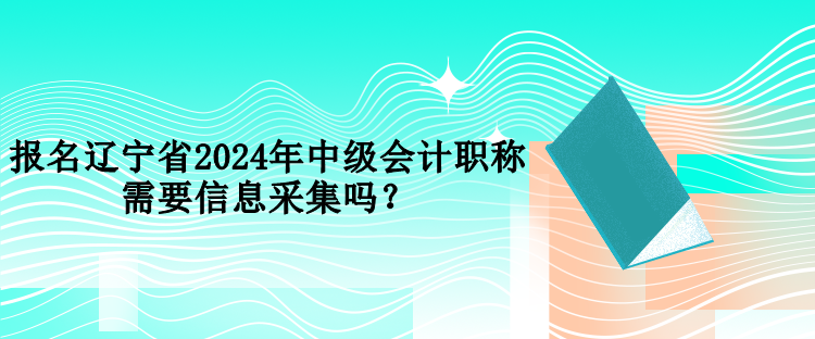 報(bào)名遼寧省2024年中級(jí)會(huì)計(jì)職稱需要信息采集嗎？