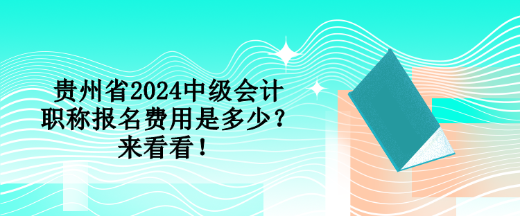 貴州省2024中級(jí)會(huì)計(jì)職稱報(bào)名費(fèi)用是多少？來看看！