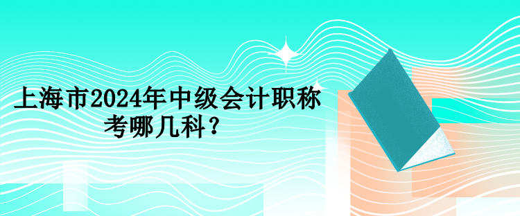 上海市2024年中級(jí)會(huì)計(jì)職稱(chēng)考哪幾科？