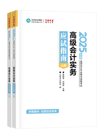 2025年高級(jí)會(huì)計(jì)師應(yīng)試指南輔導(dǎo)書全新詳解